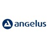 Angelus