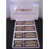 Зъбна гарнитура RoyalDent - Eraylar Зъбна гарнитура RoyalDent - Eraylar