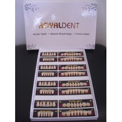Зъбна гарнитура RoyalDent - Eraylar
