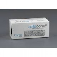 Collacone - колагенов конус